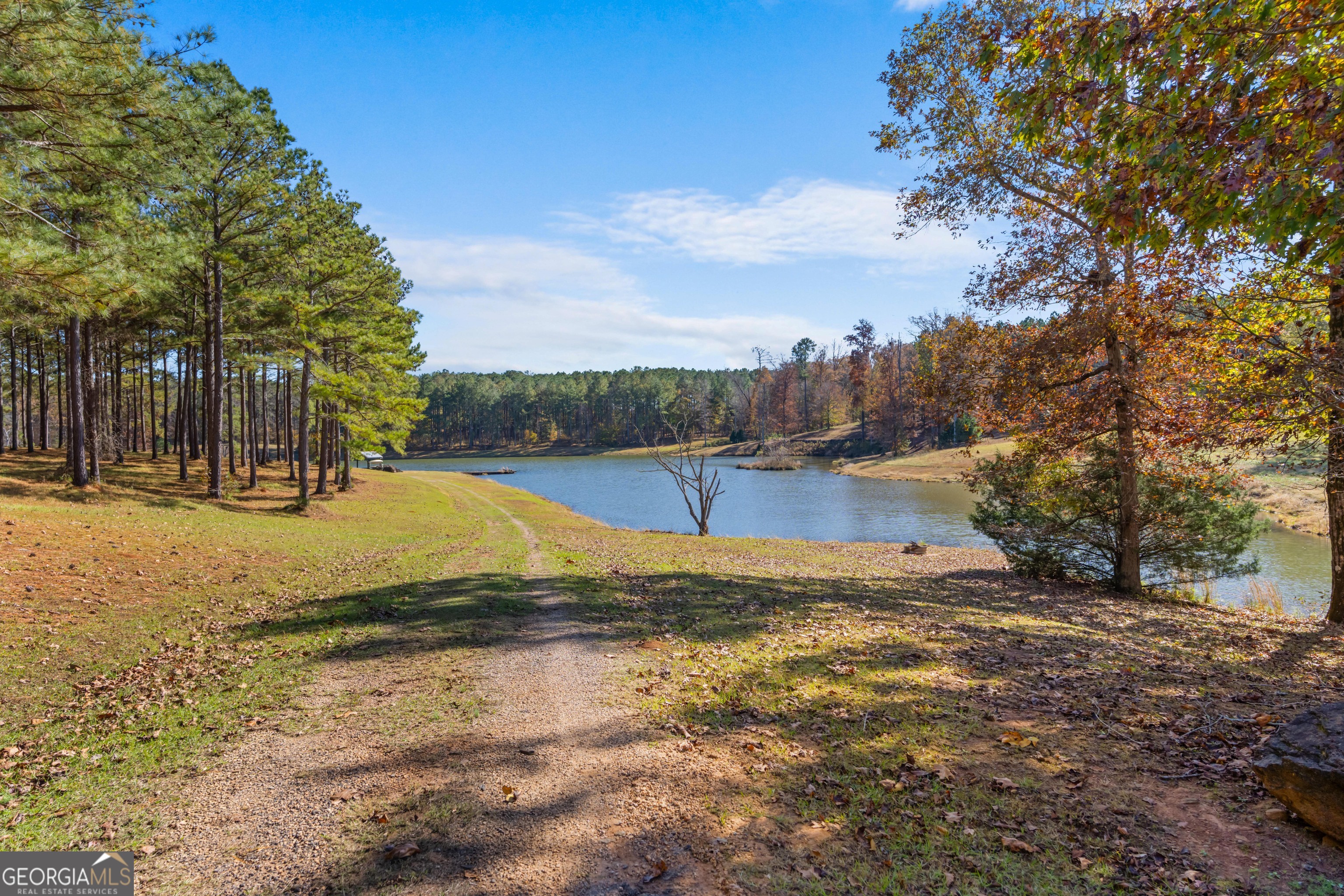 1390 Walker Road Madison, GA 30650 - Photo 40 of 64 a view of yard with swimming pool and trees
