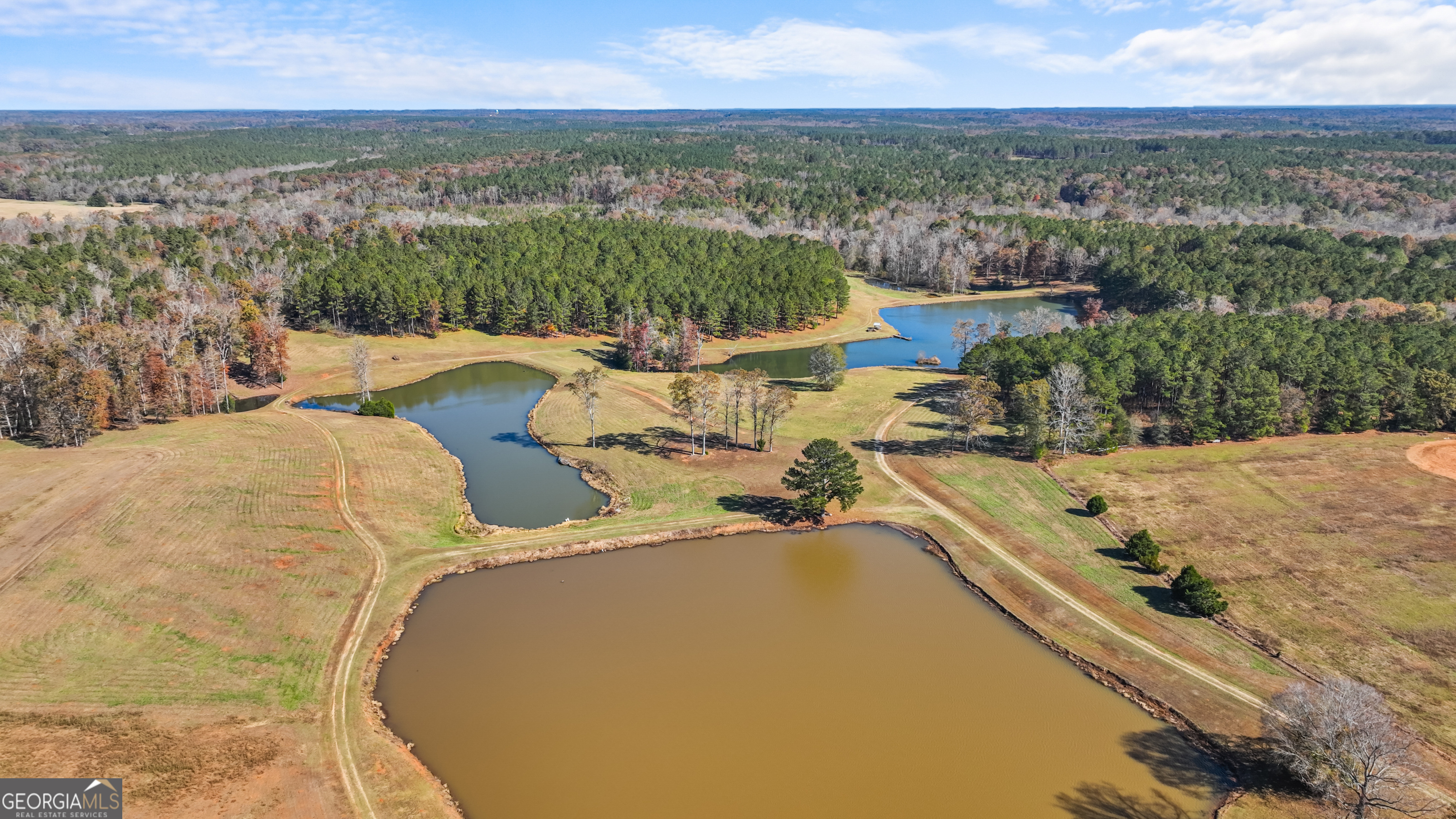 1390 Walker Road Madison, GA 30650 - Photo 4 of 64 a view of a swimming pool with a lake view