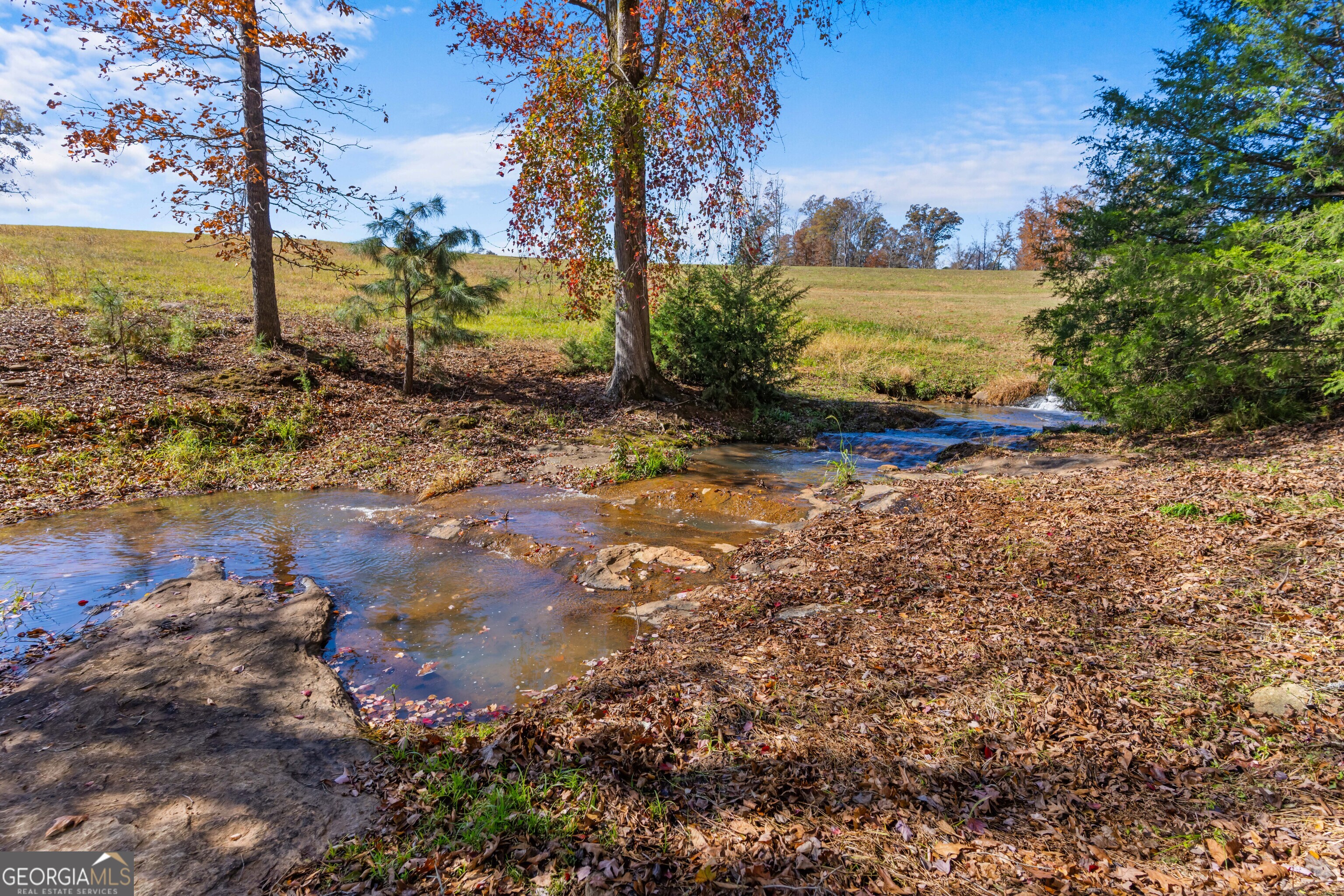 1390 Walker Road Madison, GA 30650 - Photo 41 of 64 a view of a yard with an outdoor space