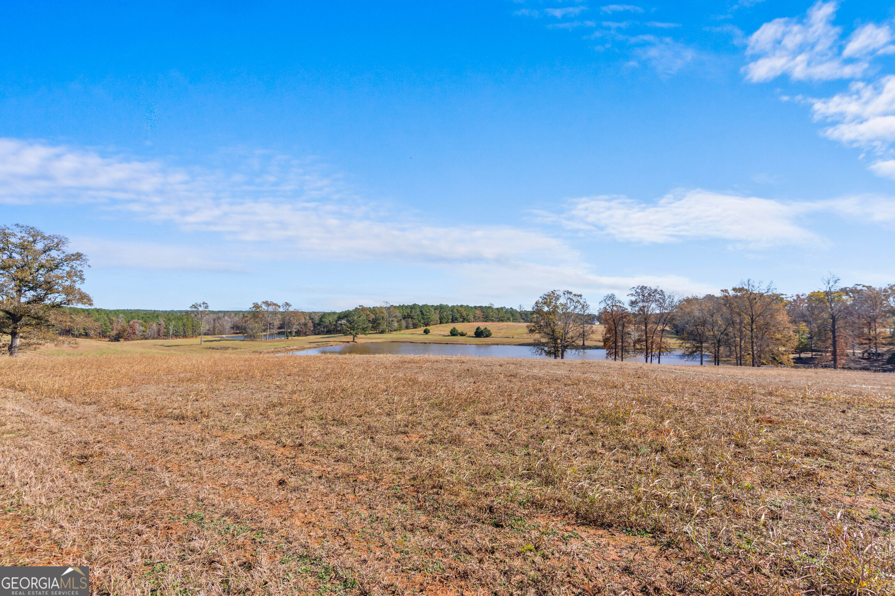 1390 Walker Road Madison, GA 30650 - Photo 43 of 64 a view of lake and mountain view