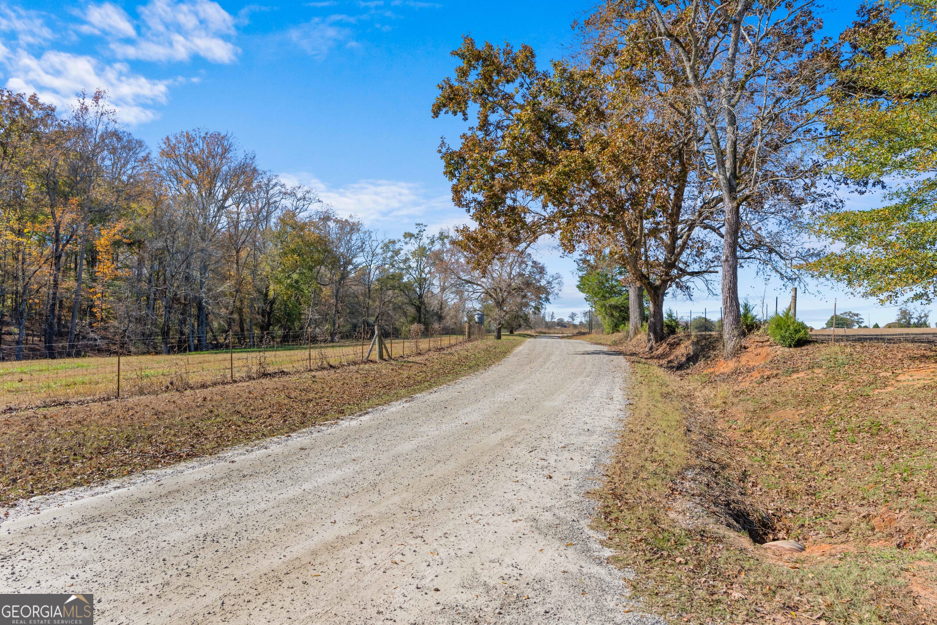 1390 Walker Road Madison, GA 30650 - Photo 45 of 64 a view of road with large trees
