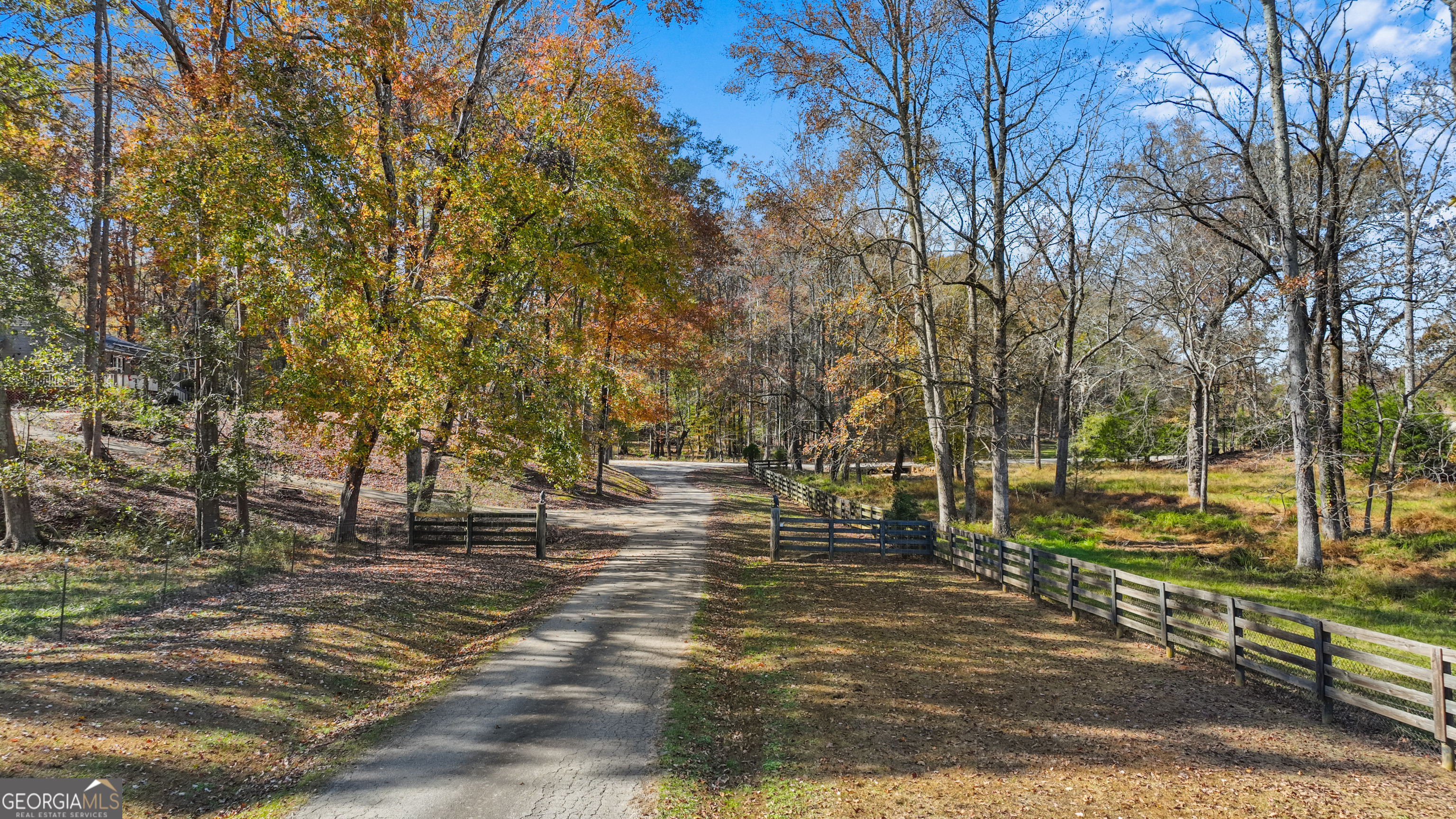 1390 Walker Road Madison, GA 30650 - Photo 64 of 64 a view of yard with trees