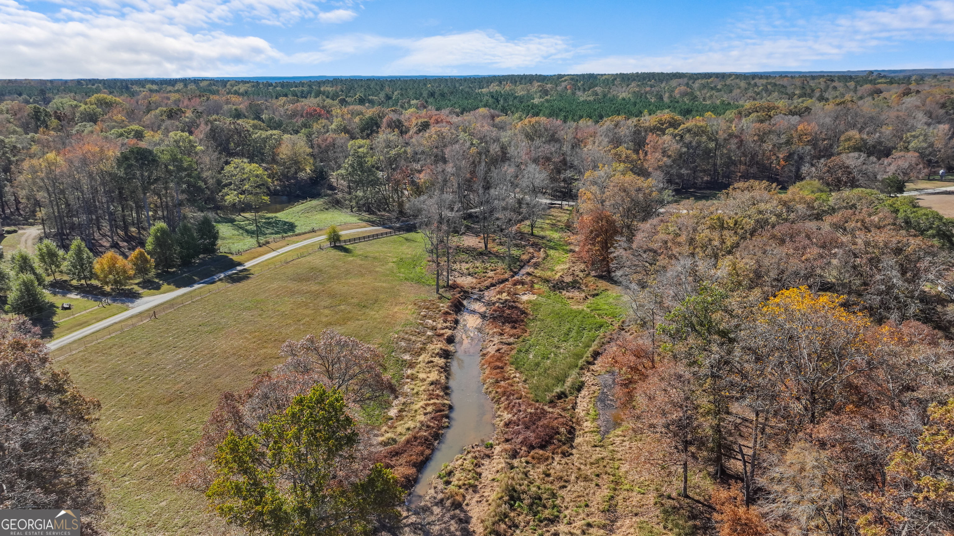 1390 Walker Road Madison, GA 30650 - Photo 10 of 64 a view of a field with an ocean