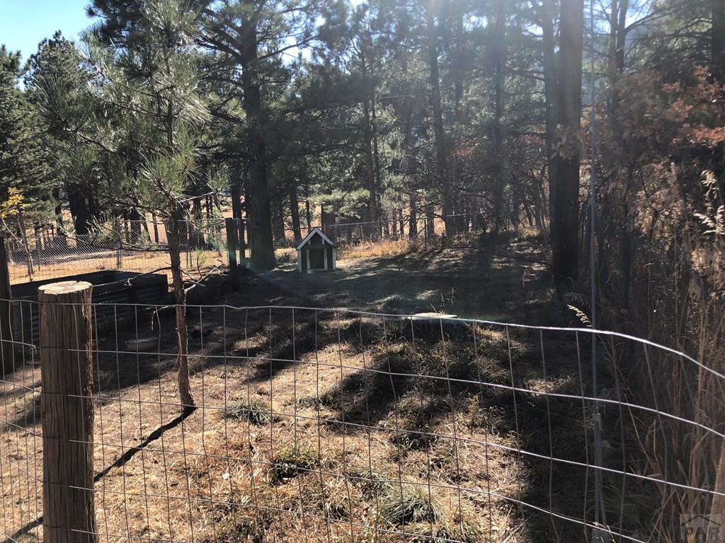 8511 Cuerna Verde Road Rye, CO 81069 - Photo 8 of 43