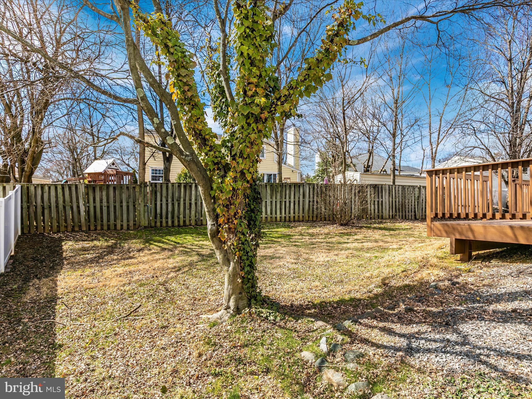 1803 Rustic Hill Court Frederick, MD 21702 - Photo 50 of 63 AU3A3504