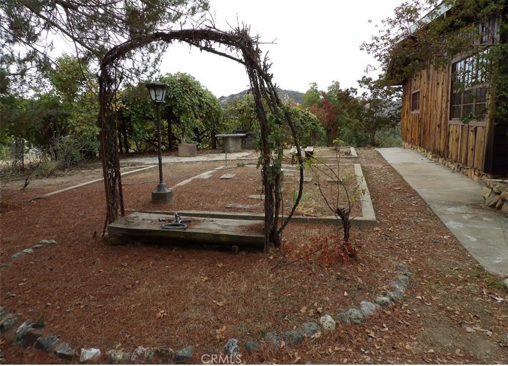 44001 Dunlap Road Miramonte, CA 93641 - Photo 12 of 75 a view of backyard with large trees