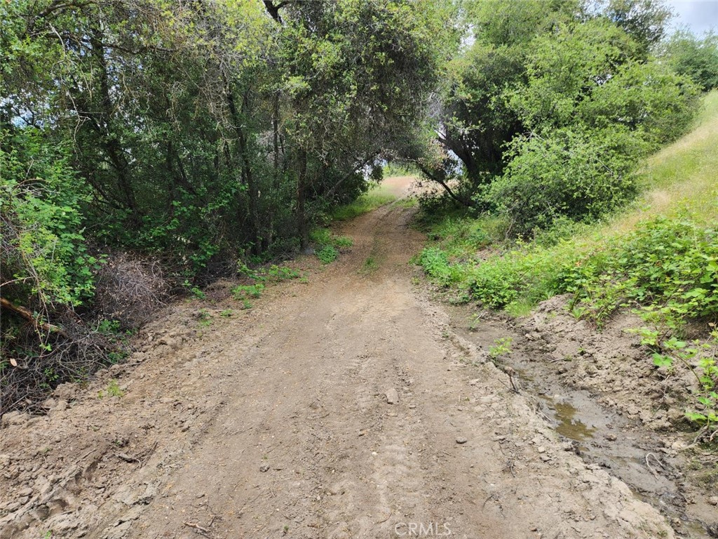 44001 Dunlap Road Miramonte, CA 93641 - Photo 3 of 75 a view of a yard with a tree