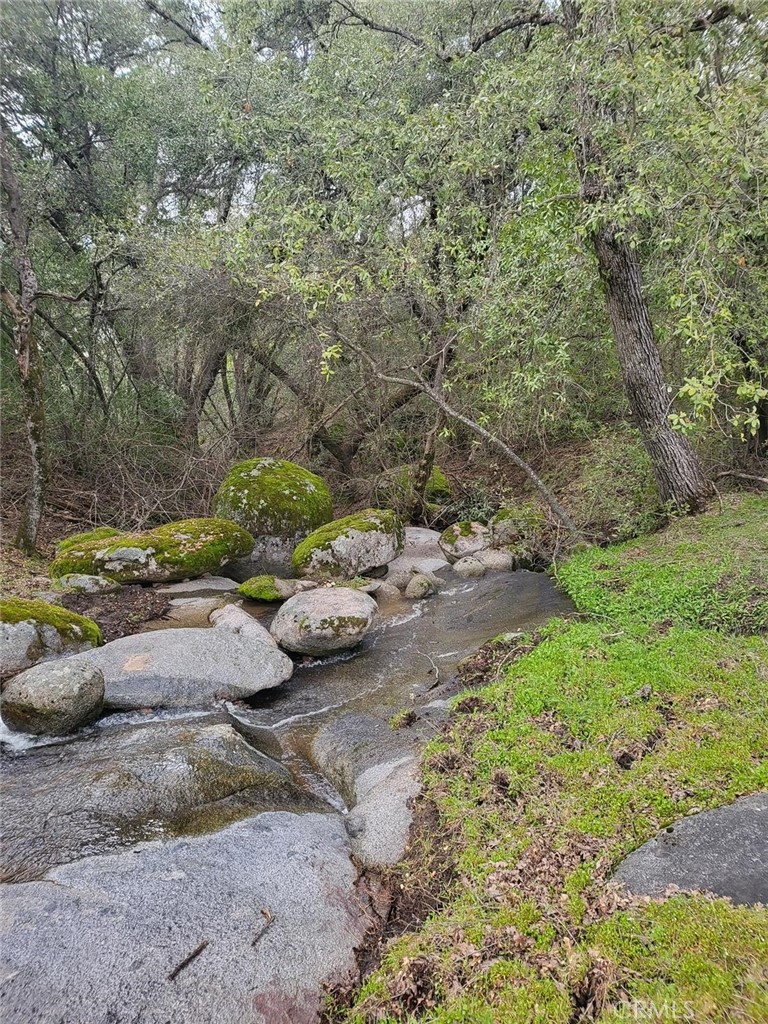 44001 Dunlap Road Miramonte, CA 93641 - Photo 50 of 75 a view of a street with some trees