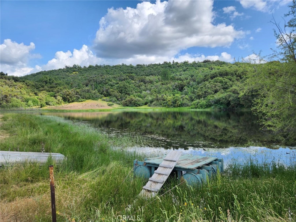 44001 Dunlap Road Miramonte, CA 93641 - Photo 62 of 75 a view of a lake with a yard
