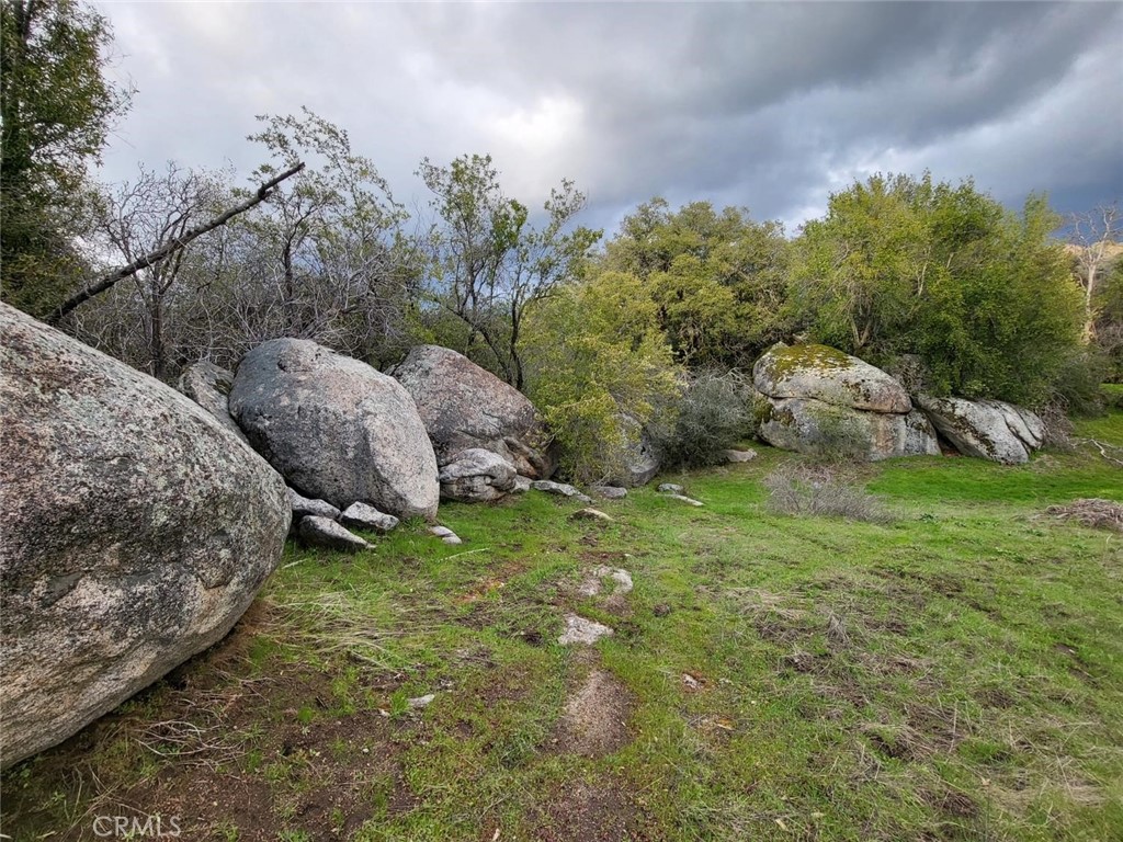 44001 Dunlap Road Miramonte, CA 93641 - Photo 8 of 75