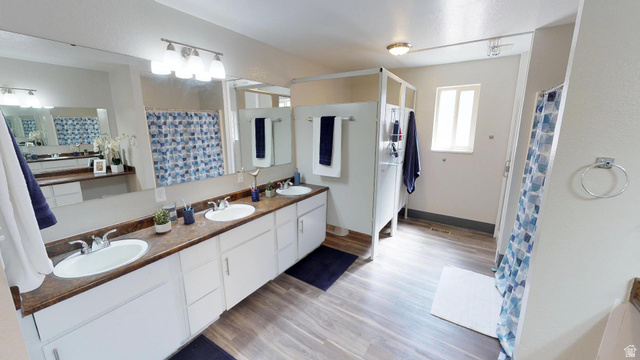 1960 North Canyon Road Provo, UT 84604 - Photo 3 of 6 Full bathroom featuring double vanity, light wood-type flooring, and a shower with curtain