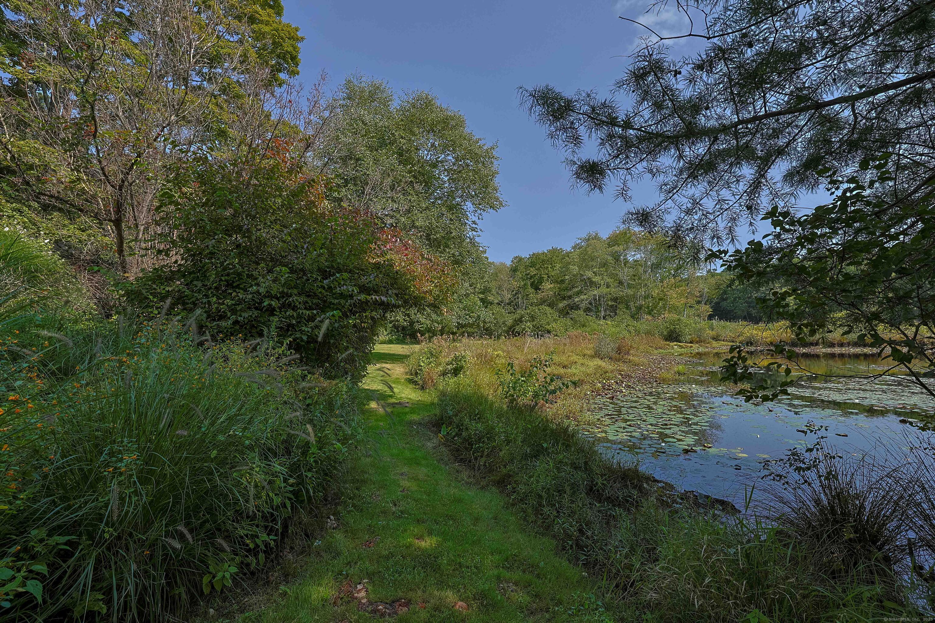 180 Green Hill Road Killingworth, CT 06419 - Photo 38 of 39 a view of a lush green forest with lots of trees