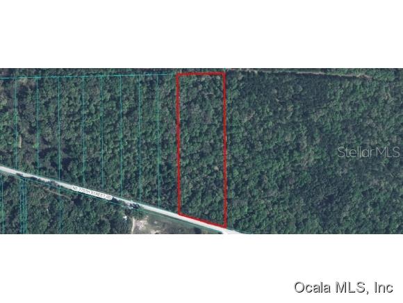 175 Northeast 175th Street Road Citra, FL 32113 - Photo 1 of 1 Primary Photo