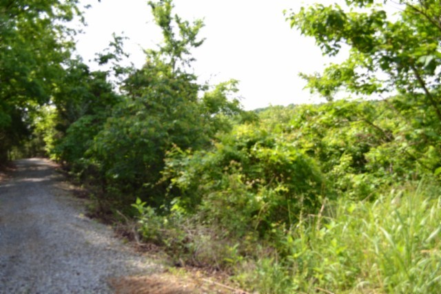 0 Beauchamp Road Burkesville, KY 42717 - Photo 6 of 41