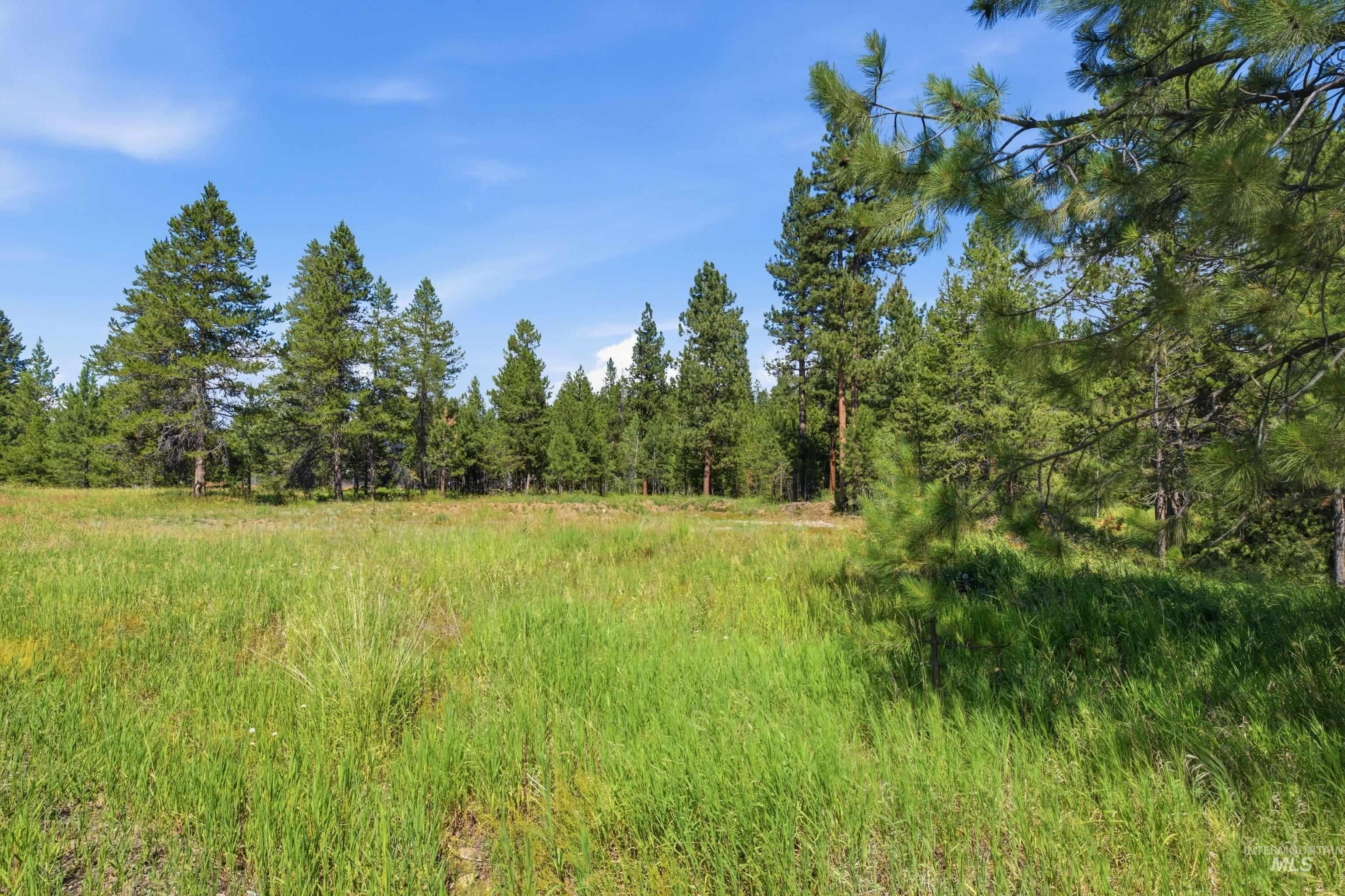 13772 Clear View Road McCall, ID 83638 - Photo 6 of 15