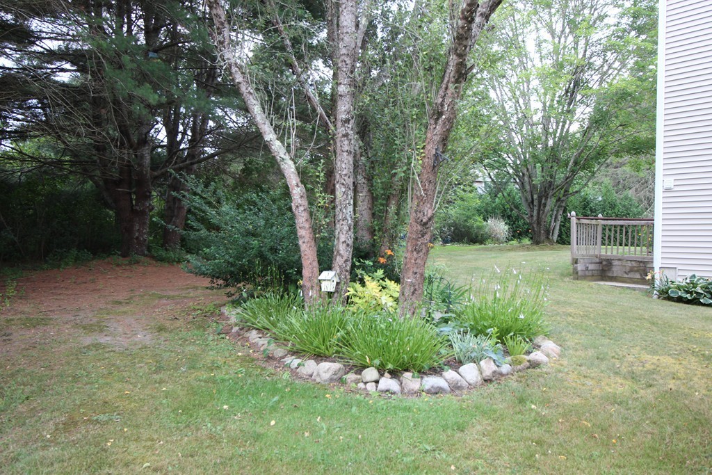 28 Hillside Road Rochester, MA 02770 - Photo 5 of 20 a view of a garden with a tree