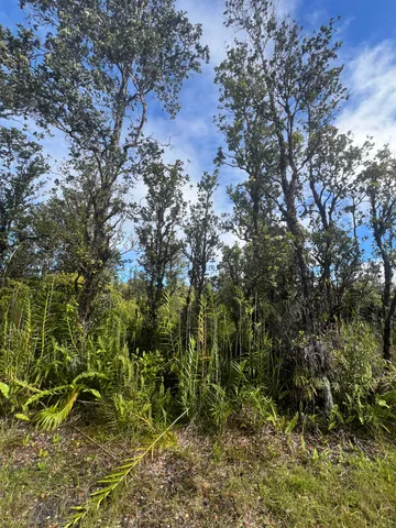 $26,000 | 30 Wailele St Mountain View, Pahoa, HI 96778