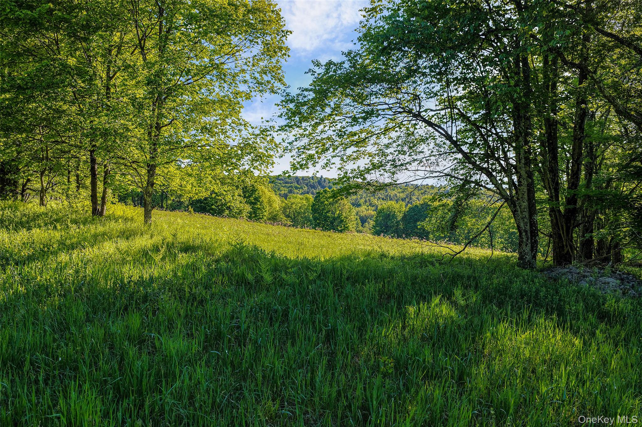 Frank Slawson Road Oneonta, NY 13820 - Photo 17 of 30 Gallery Image 17