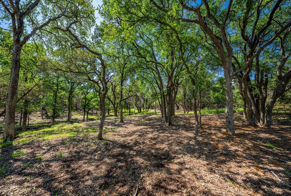 1430 Gibson-Best Road Hye, TX 78635 - Photo 31 of 42