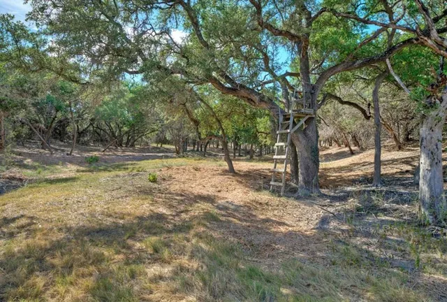 $6,995,000 | 1430 Gibson-Best Road, Hye, TX 78635