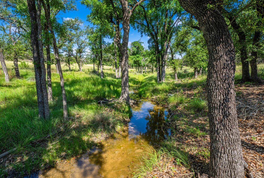 1430 Gibson-Best Road Hye, TX 78635 - Photo 33 of 42