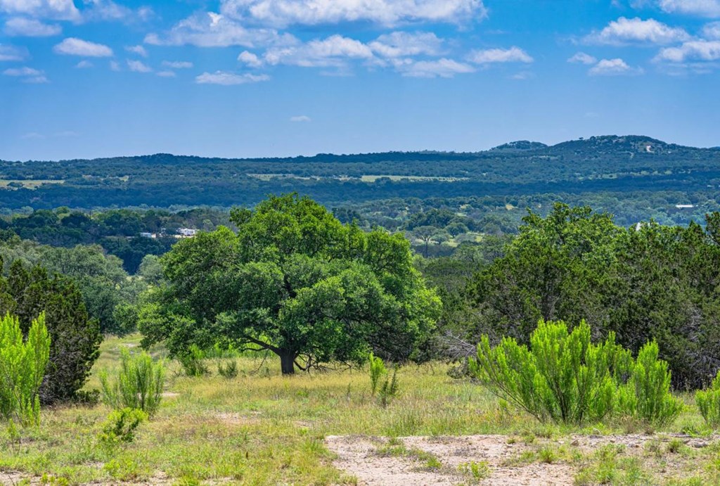 1430 Gibson-Best Road Hye, TX 78635 - Photo 35 of 42