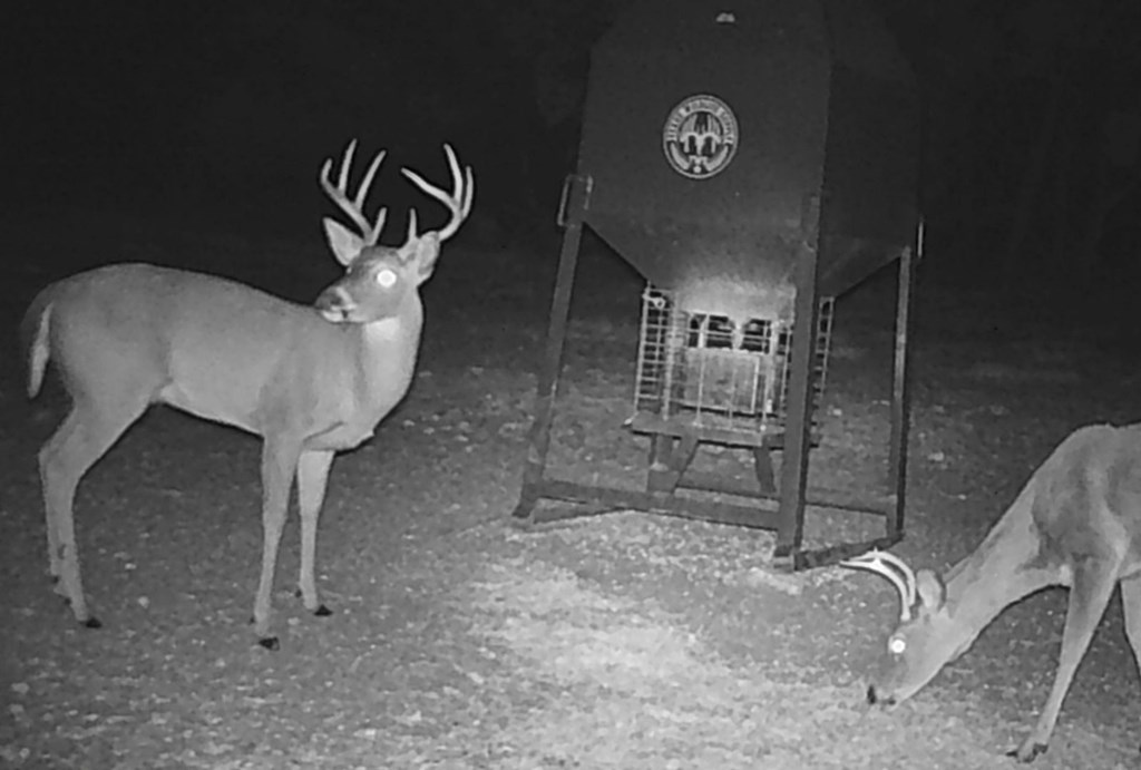 1430 Gibson-Best Road Hye, TX 78635 - Photo 41 of 42