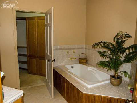 10100 South Graham Road St. Charles, MI 48655 - Photo 12 of 15 20432511-11.JPG