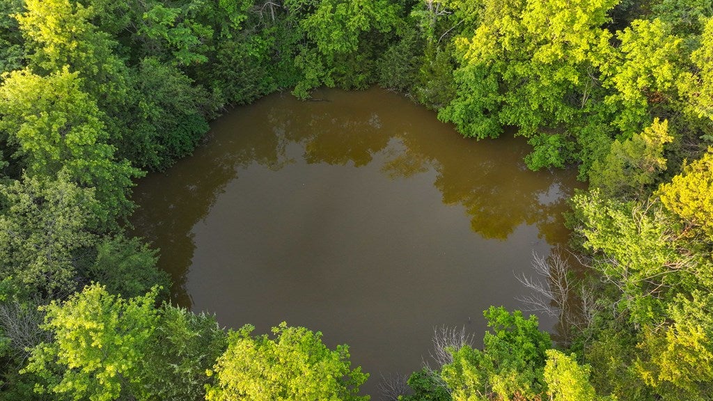 D218 County Road Armstrong, MO 65230 - Photo 23 of 73 Gallery Image 23