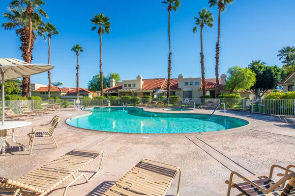 a view of a swimming pool with a lawn chairs and palm tree