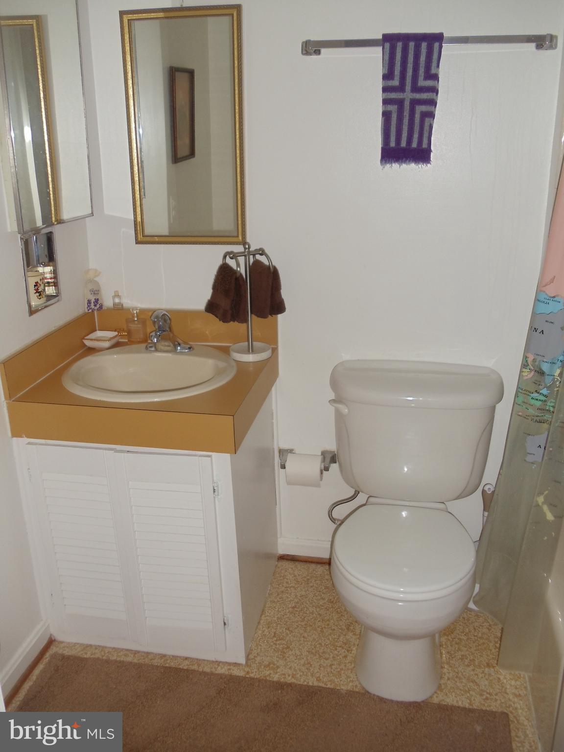 2186 Golf Course Drive Reston, VA 20191 - Photo 19 of 30 a bathroom with a toilet a sink and mirror