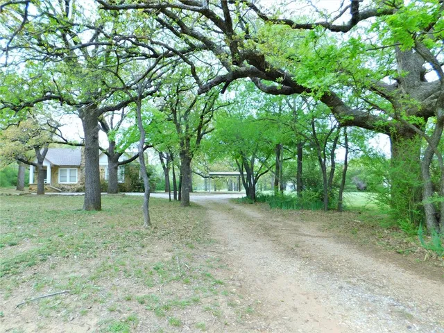 a view of a house with a tree in the park