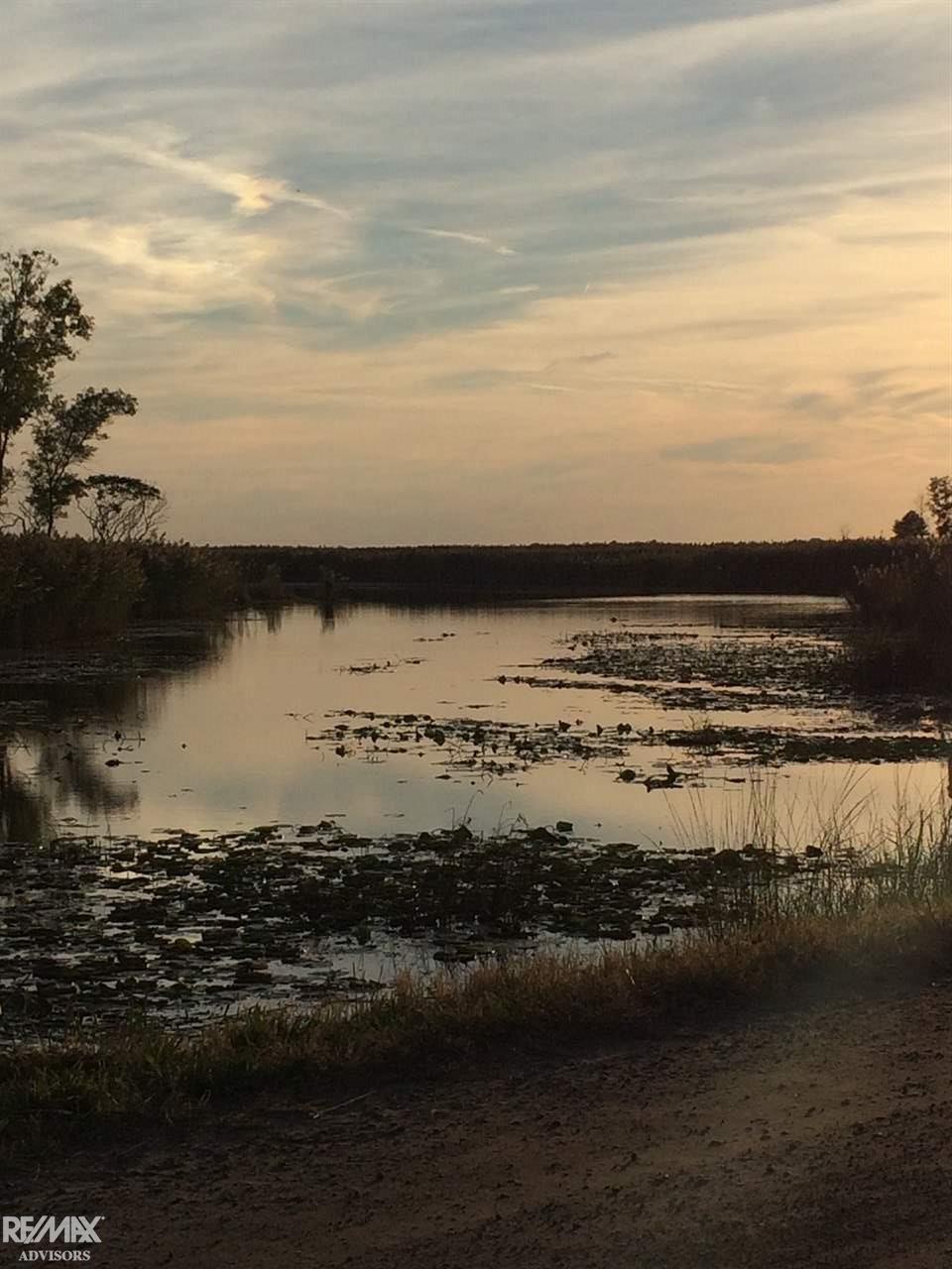 0 Columbine Road Harsens Island, MI 48028 - Photo 11 of 11