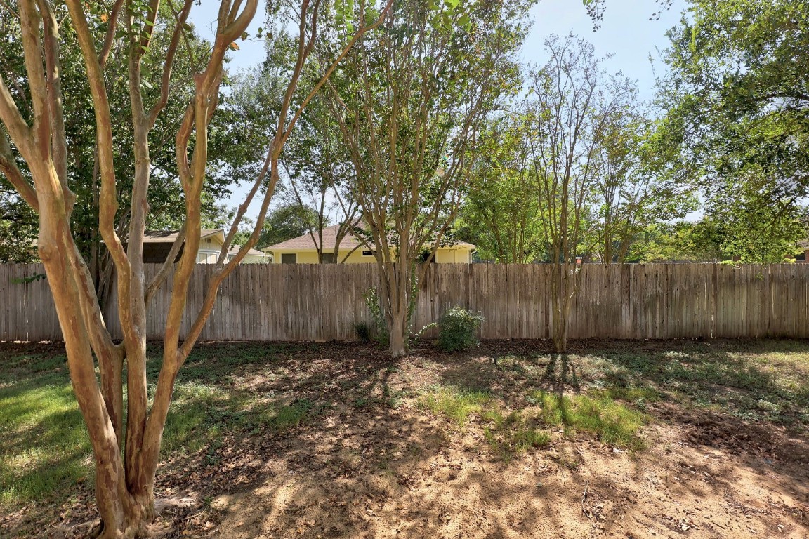 301 Nicole Way Bastrop, TX 78602 - Photo 21 of 23 a view of backyard with tree