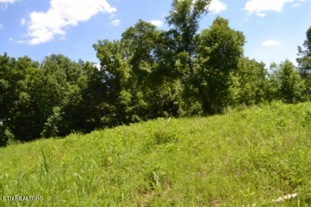 2390 Pea Ridge Fire Tower Road Celina, TN 38551 - Photo 45 of 58 DSC_0141