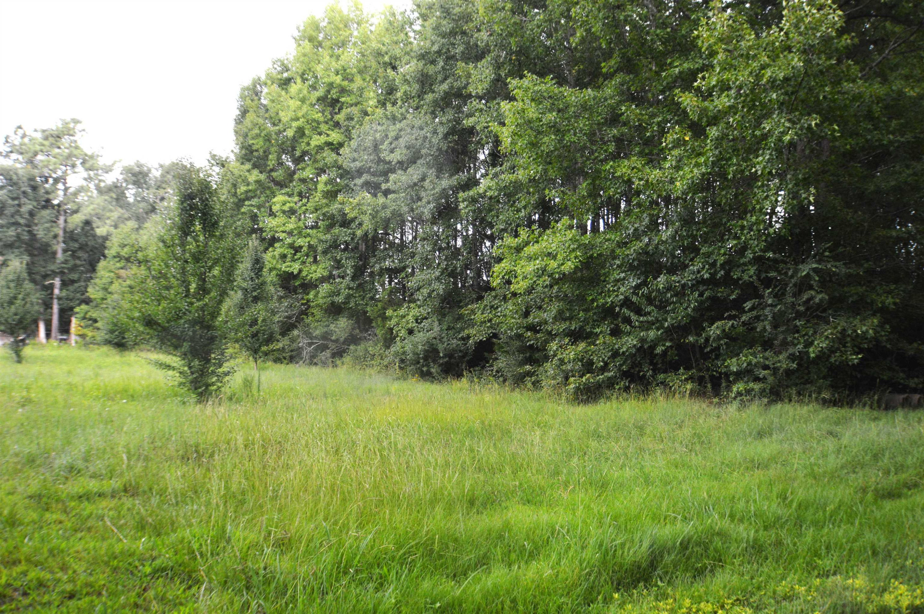 0 Ridgeway-Warrenton Road Warrenton, NC 27589 - Photo 2 of 7 Photo 2
