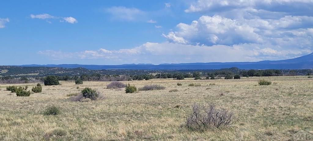 17 A Majors Ranch Road Walsenburg, CO 81089 - Photo 10 of 17