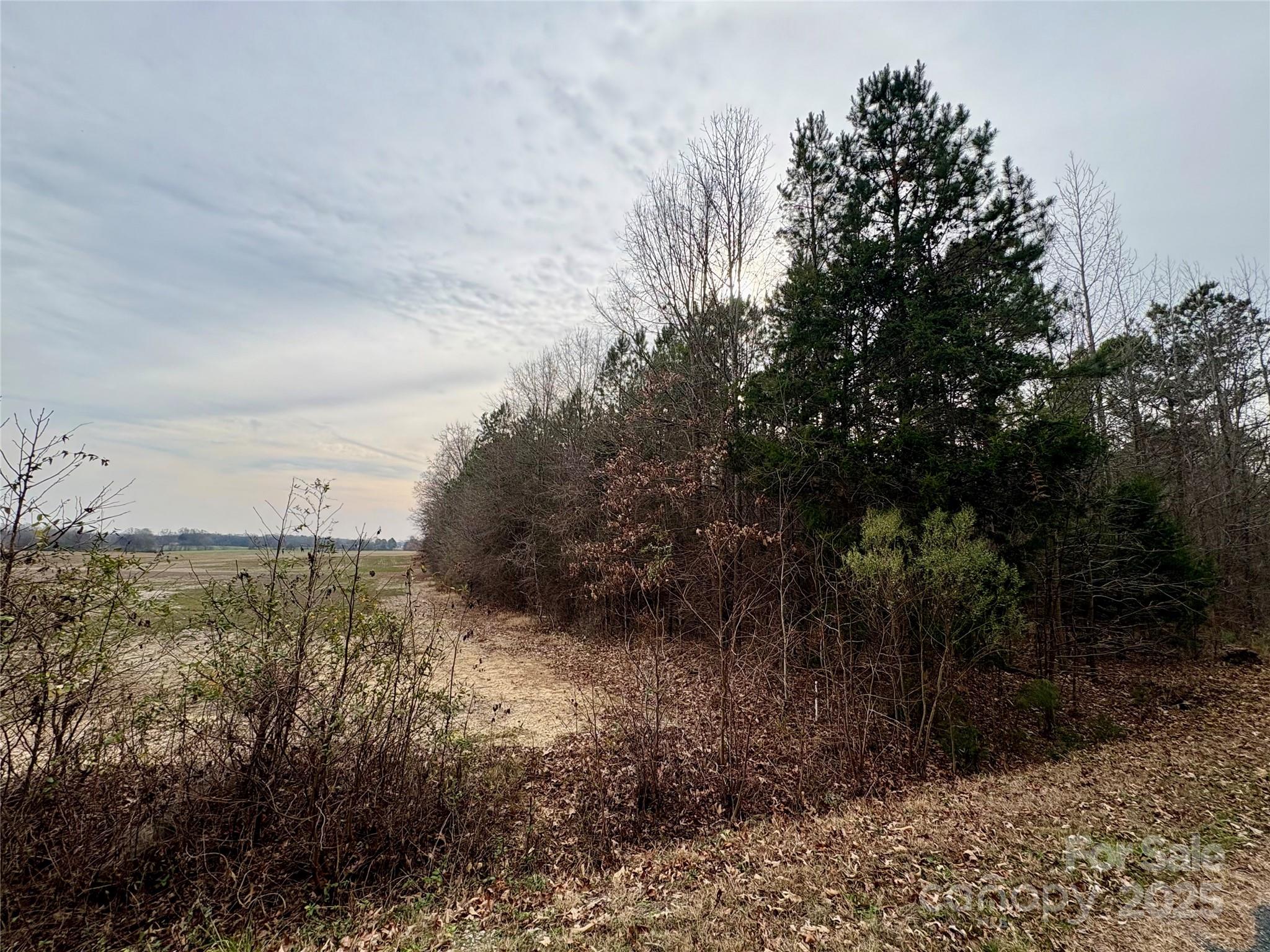 2734 L J Whitley Road Monroe, NC 28112 - Photo 1 of 7 a view of a yard with plants and large trees
