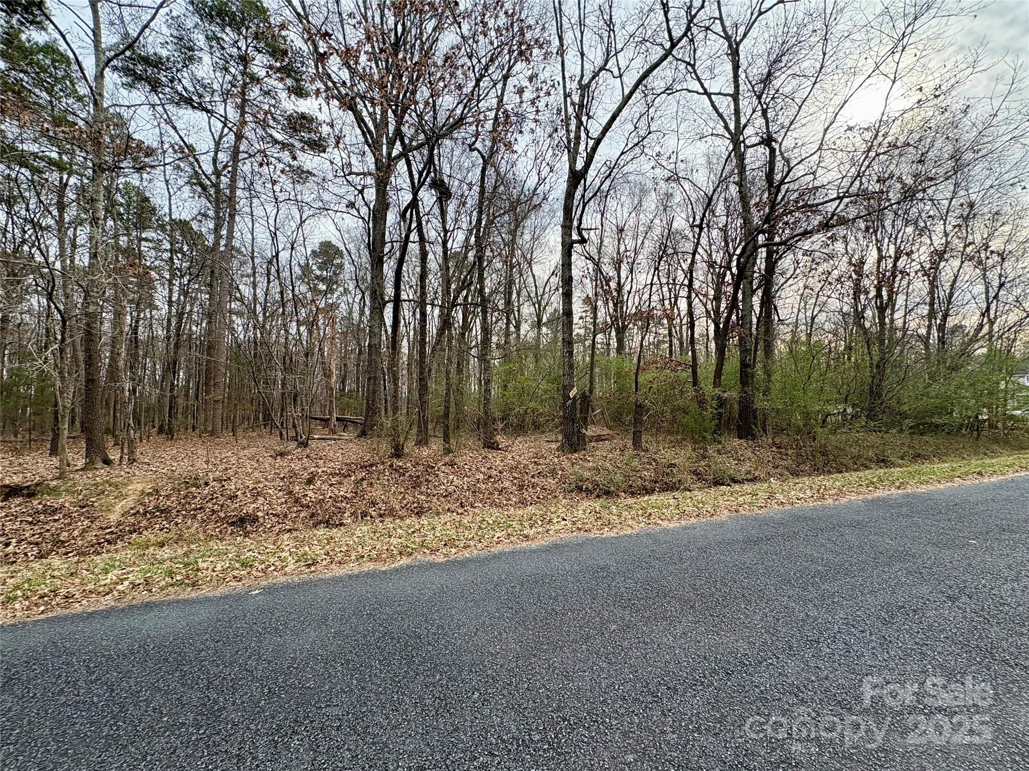 2734 L J Whitley Road Monroe, NC 28112 - Photo 6 of 7 a view of a yard with a tree
