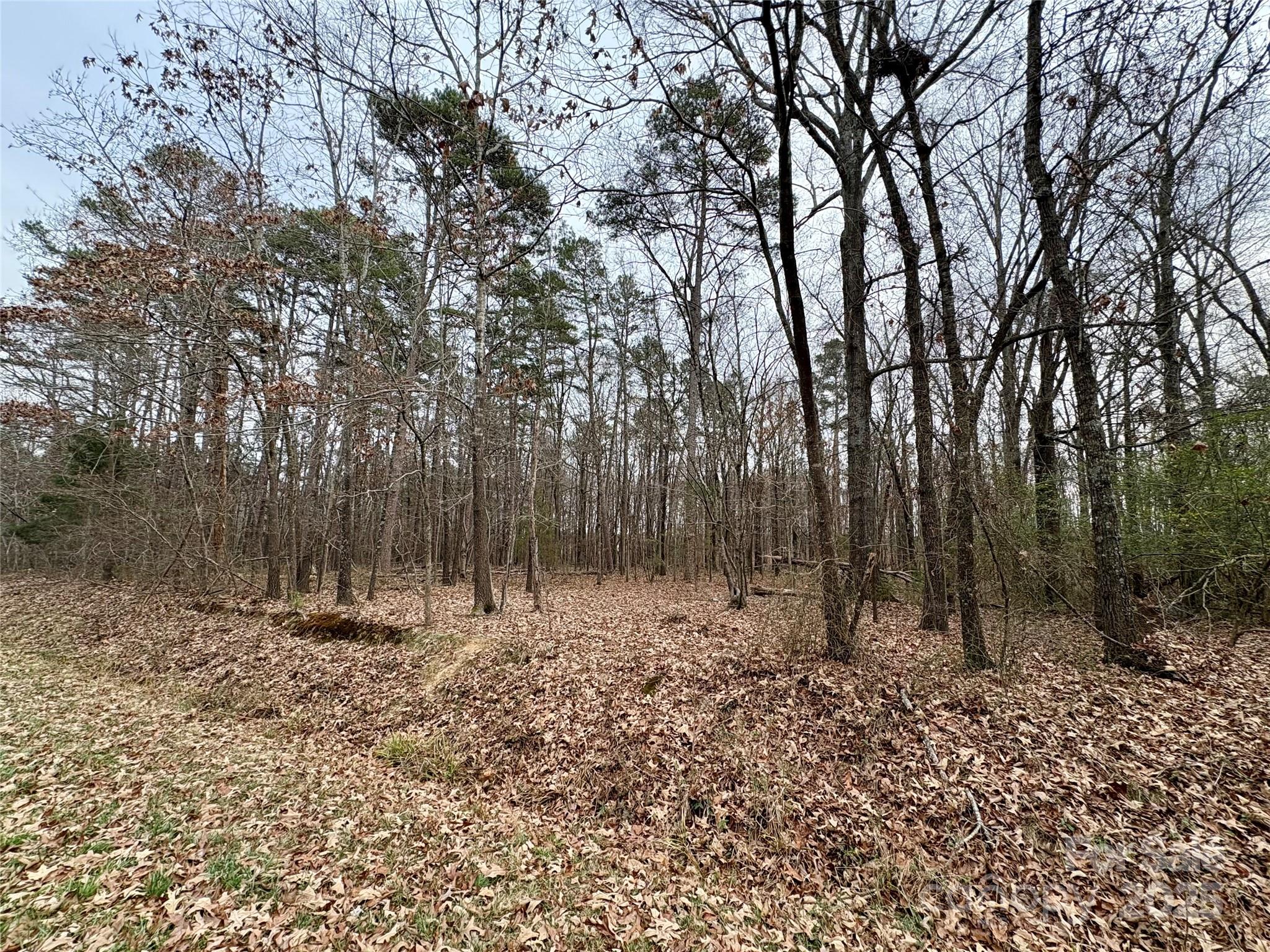 2734 L J Whitley Road Monroe, NC 28112 - Photo 7 of 7 a view of outdoor space with trees