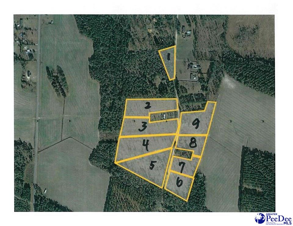 Lot 2 Log Cabin Road Darlington, SC 29532 - Photo 1 of 1 Gallery Image 1