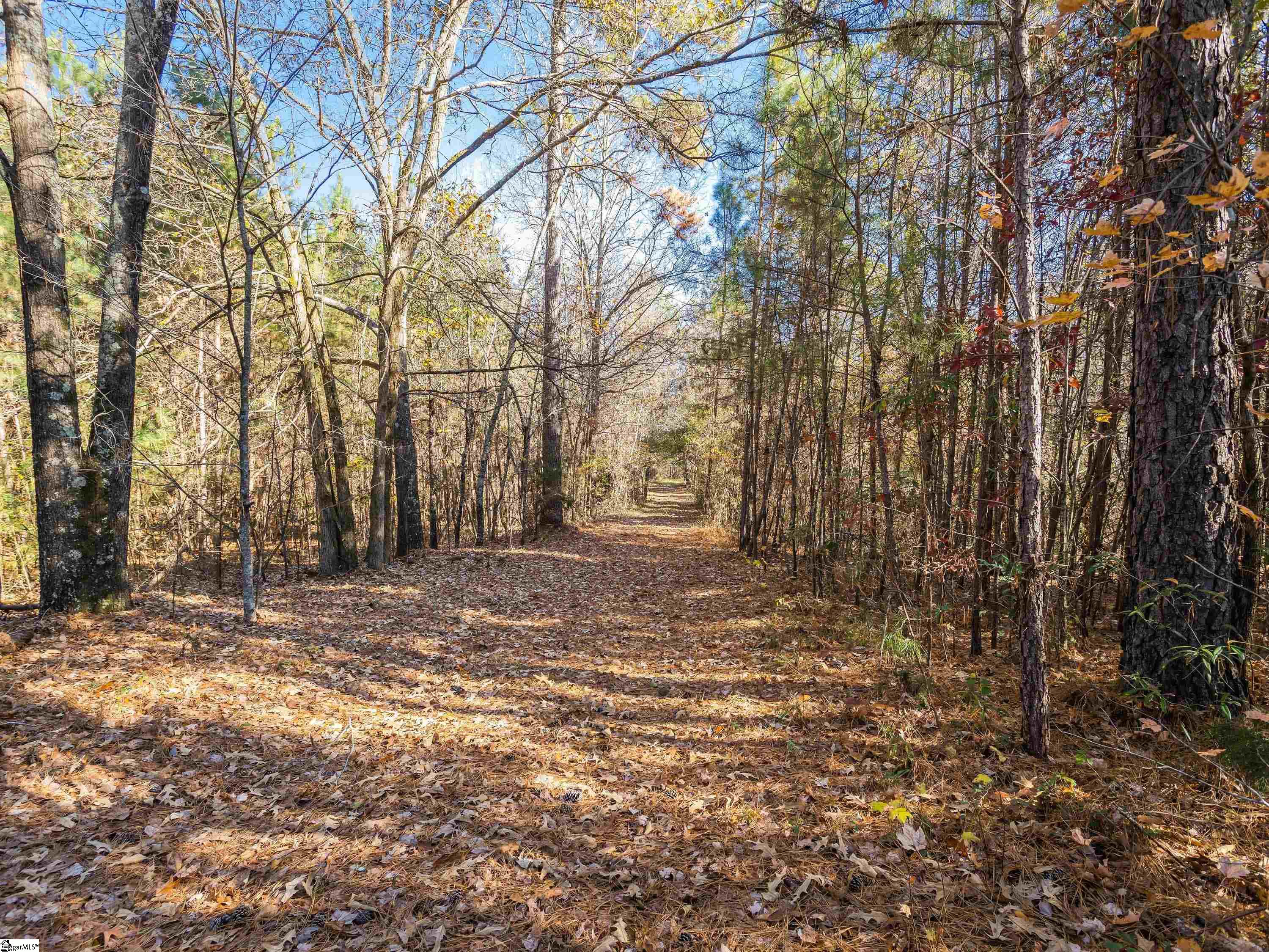 0 Stewart Road, Unit LOT 1B Woodruff, SC 29388 - Photo 14 of 16