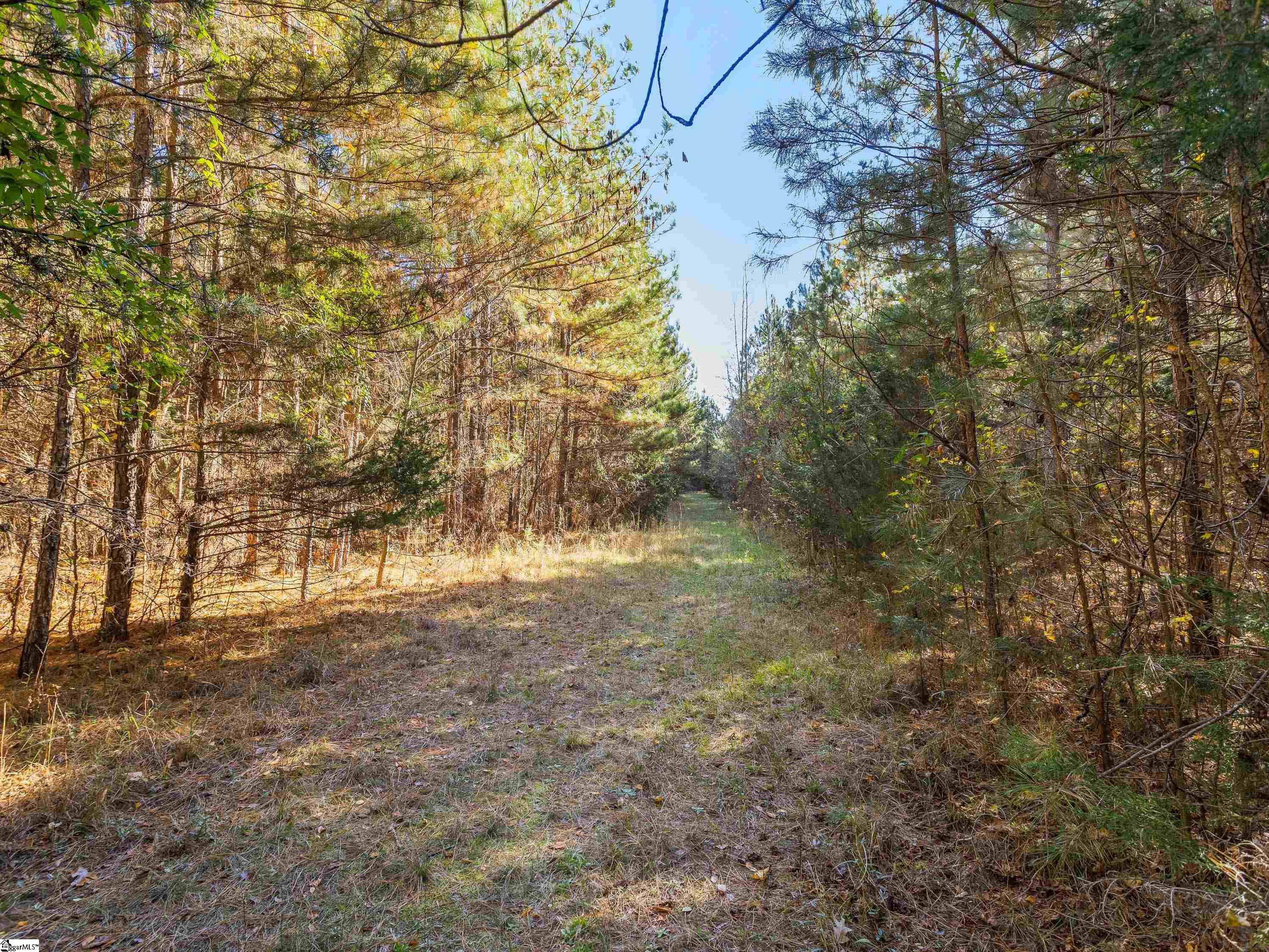 0 Stewart Road, Unit LOT 1B Woodruff, SC 29388 - Photo 16 of 16