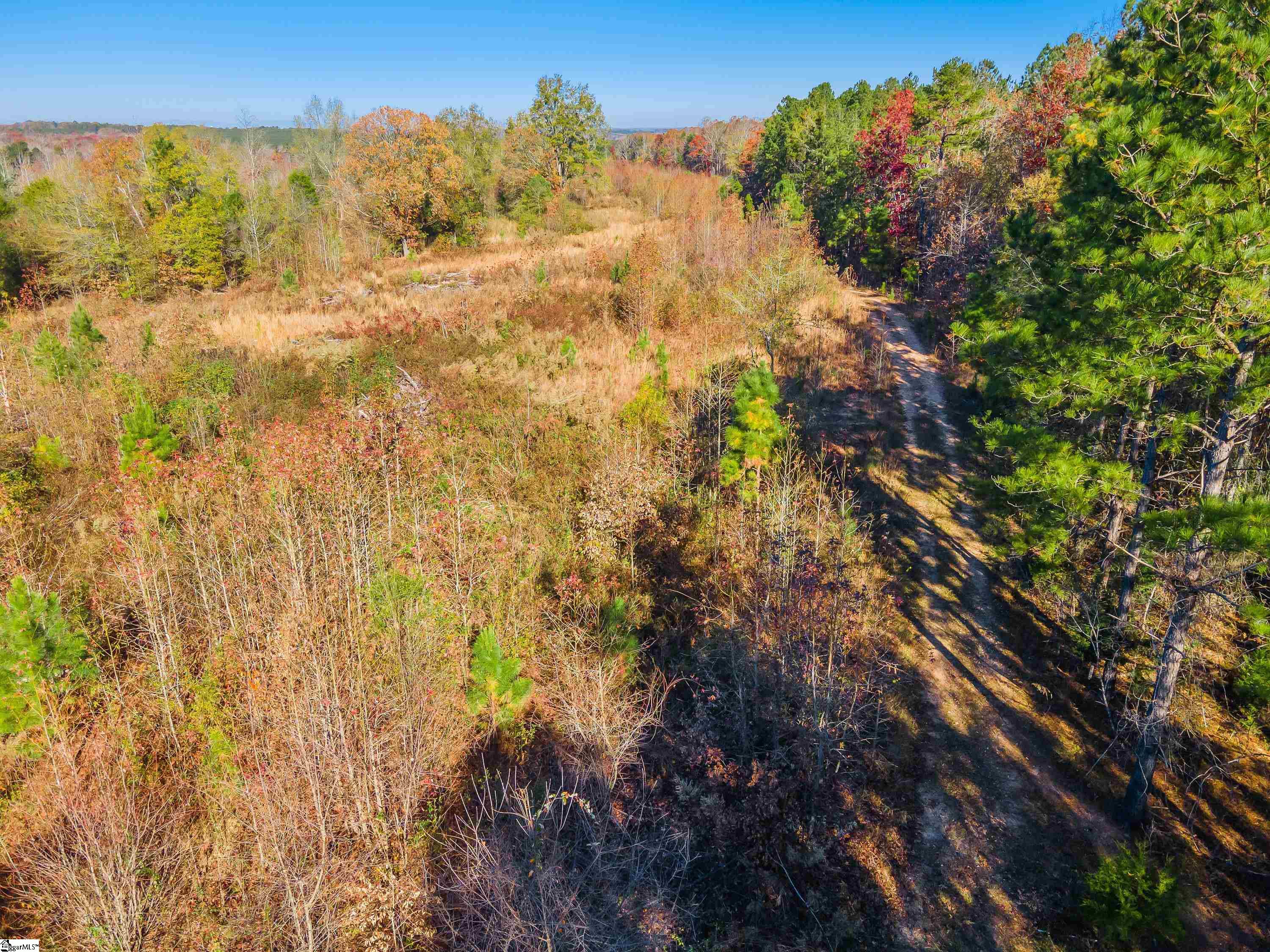 0 Stewart Road, Unit LOT 1B Woodruff, SC 29388 - Photo 8 of 16