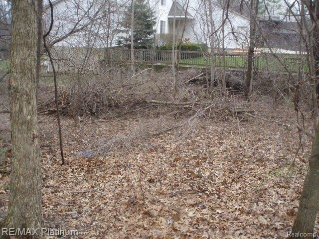 Vl Benstein Road Commerce Township, MI 48382 - Photo 7 of 14 P4160015