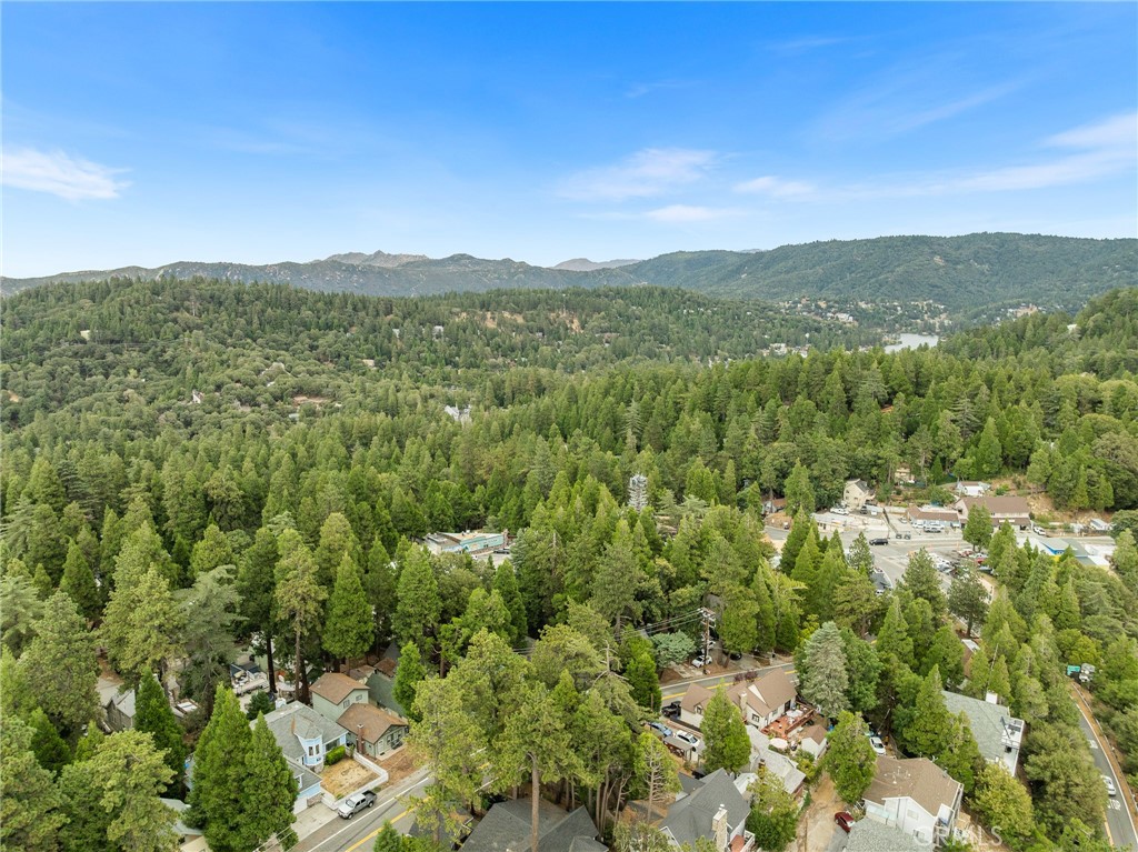 23376 Crestline Road Crestline, CA 92325 - Photo 36 of 37 Gallery Image 36