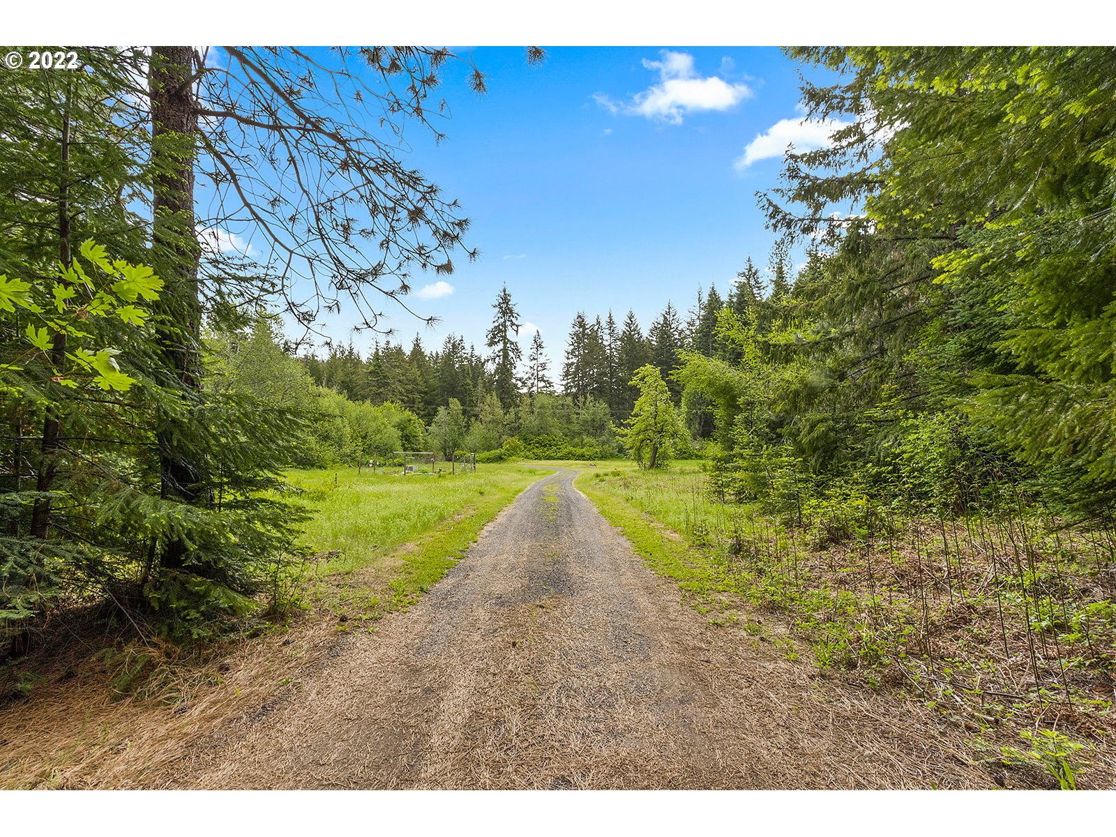 51 Carr Road Trout Lake, WA 98650 - Photo 18 of 32 Gallery Image 18