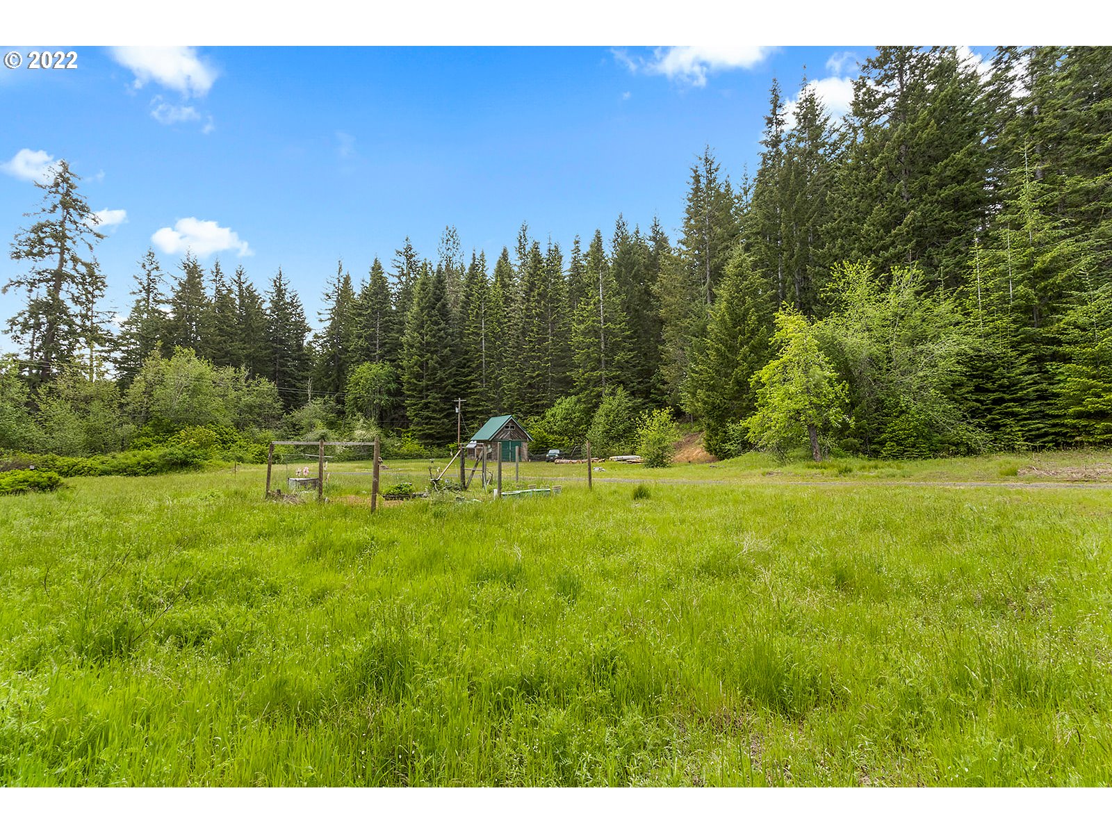 51 Carr Road Trout Lake, WA 98650 - Photo 19 of 32 Gallery Image 19