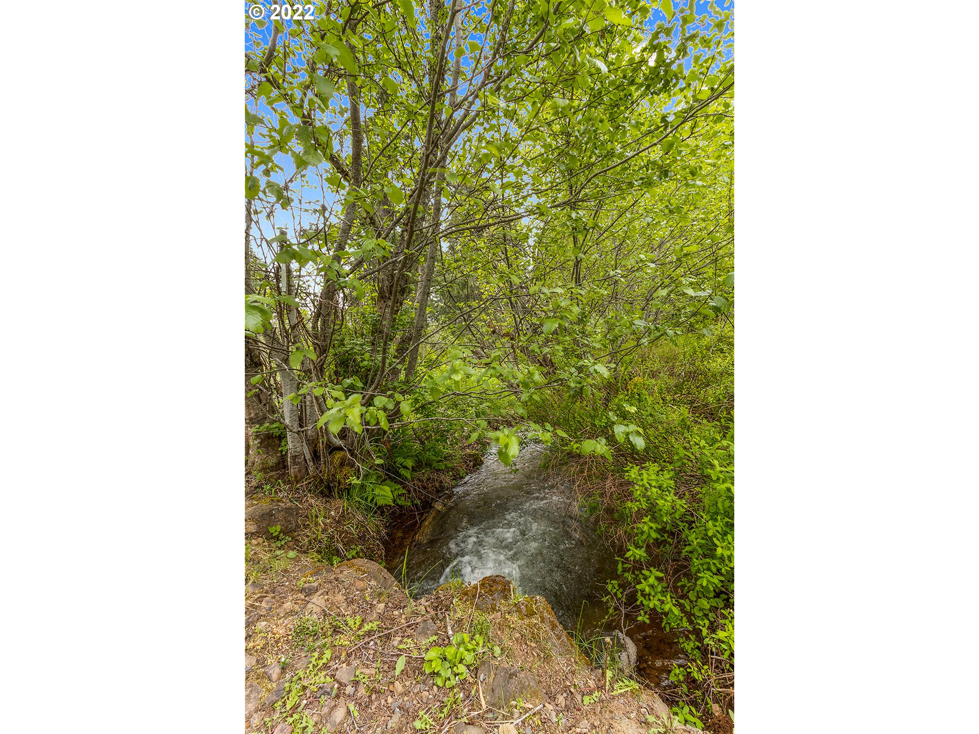 51 Carr Road Trout Lake, WA 98650 - Photo 23 of 32 Gallery Image 23