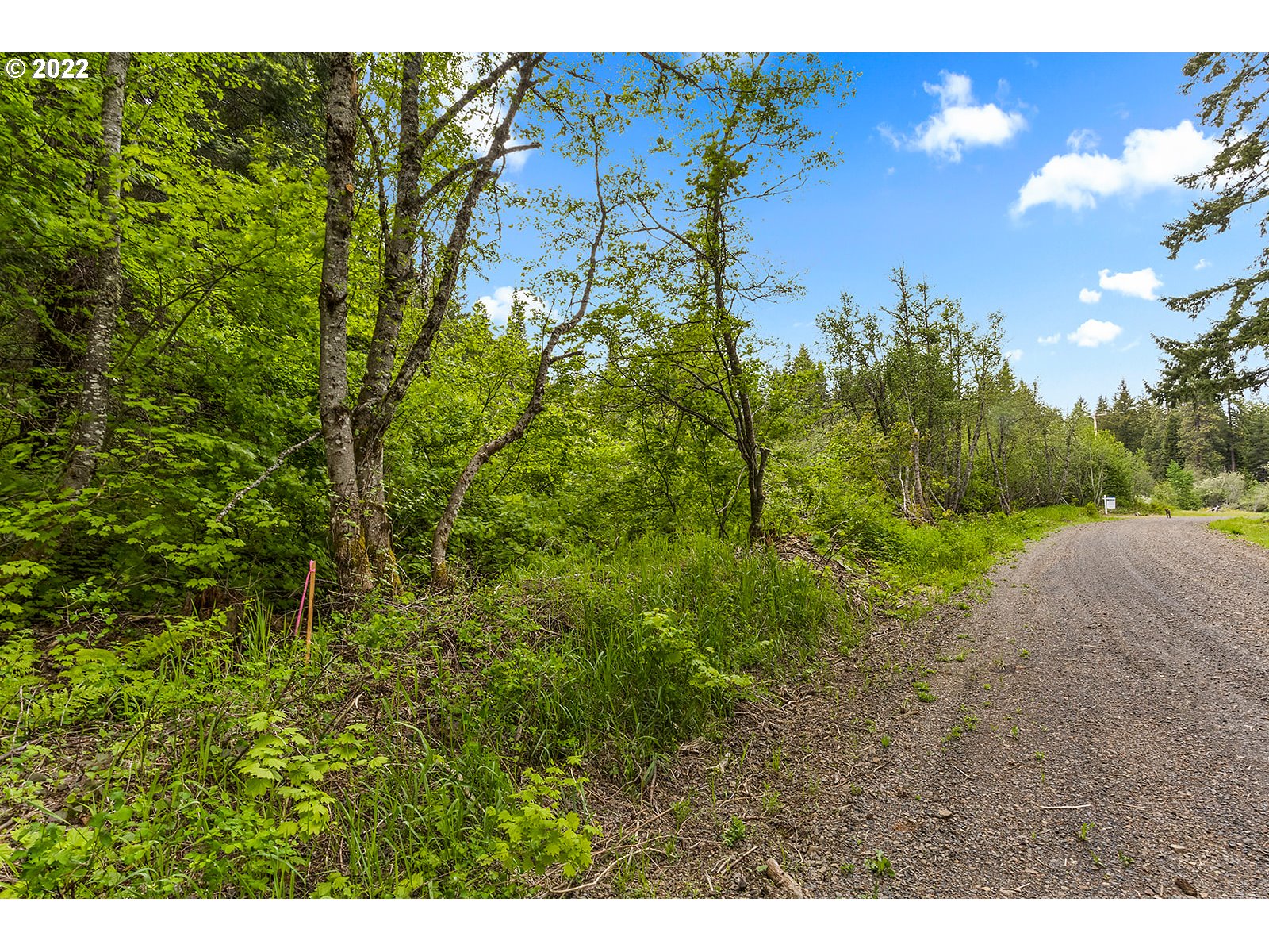 51 Carr Road Trout Lake, WA 98650 - Photo 25 of 32 Gallery Image 25